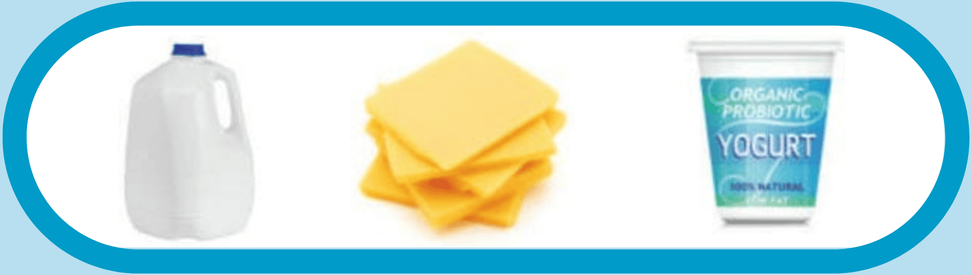 Various types of dairy side by side