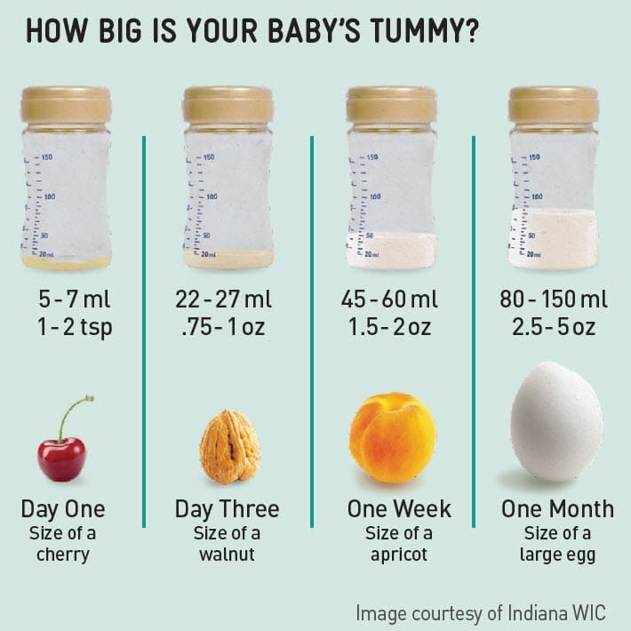 A chart showing four small containers that illustrate the size of a baby’s stomach at different ages: day one, day three, one week, and one month. Each container is labeled with its approximate volume and paired with a fruit or nut image for size comparison.
