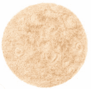 MA WIC tortilla image