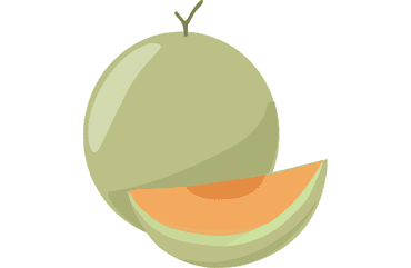Honeydew Melon